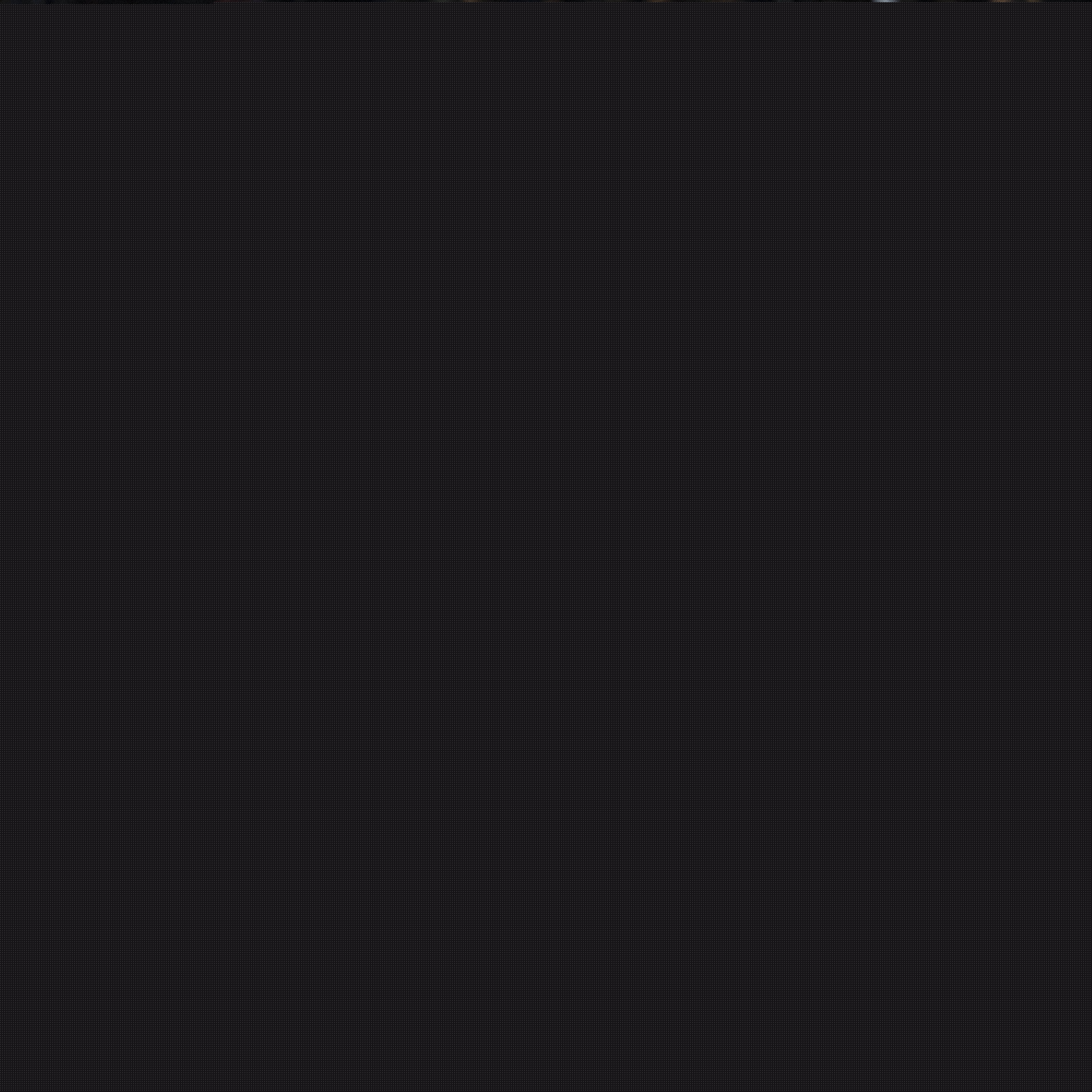 毕竟