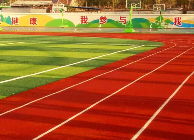 通过参与国 通过参与国