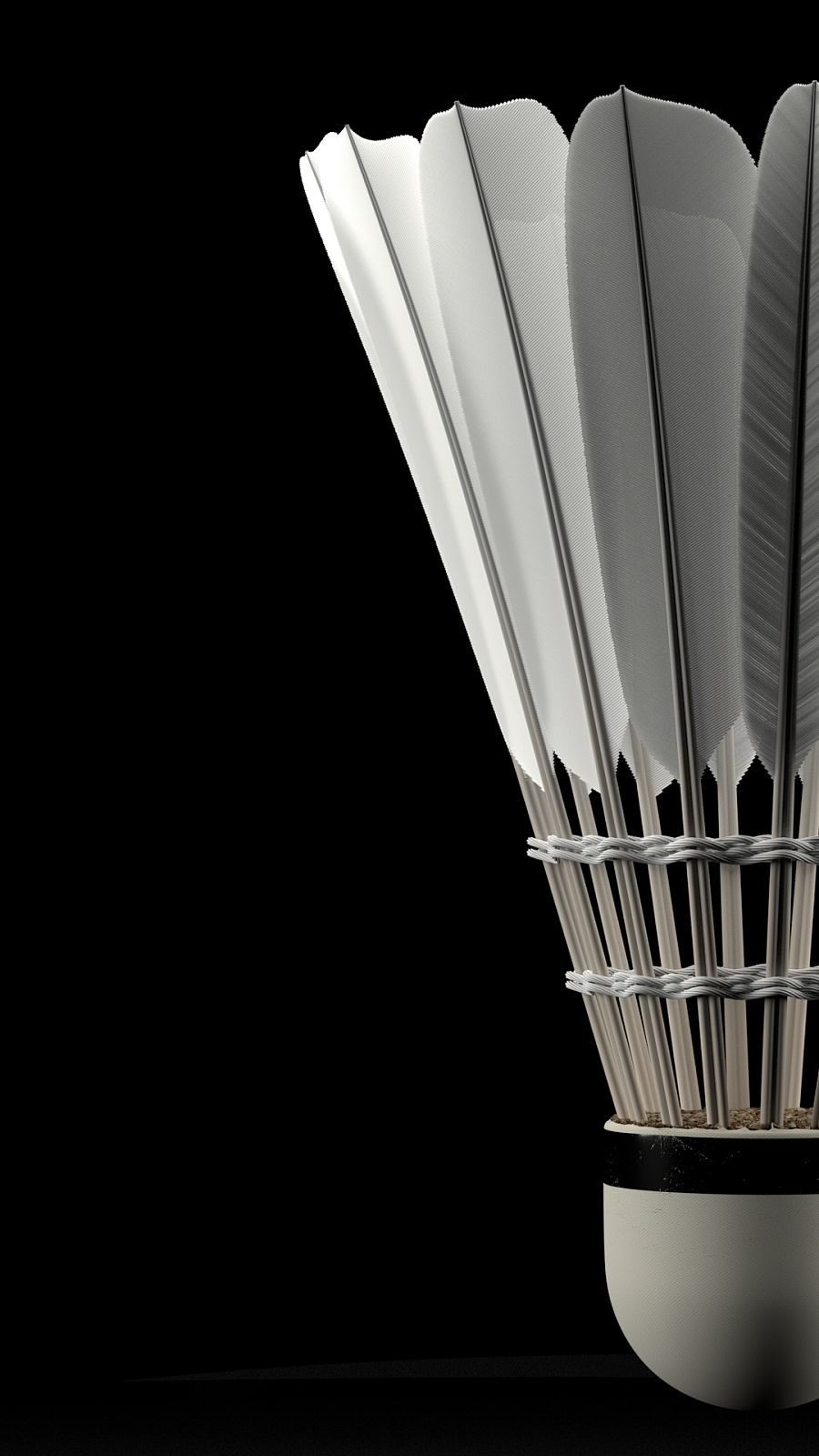 家队攻入4 家队攻入4