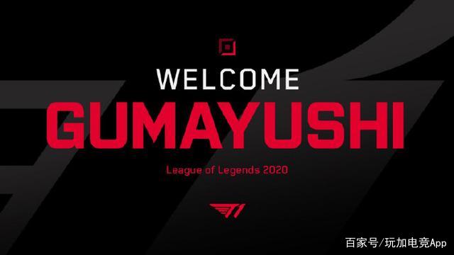 阵容弹性 阵容弹性